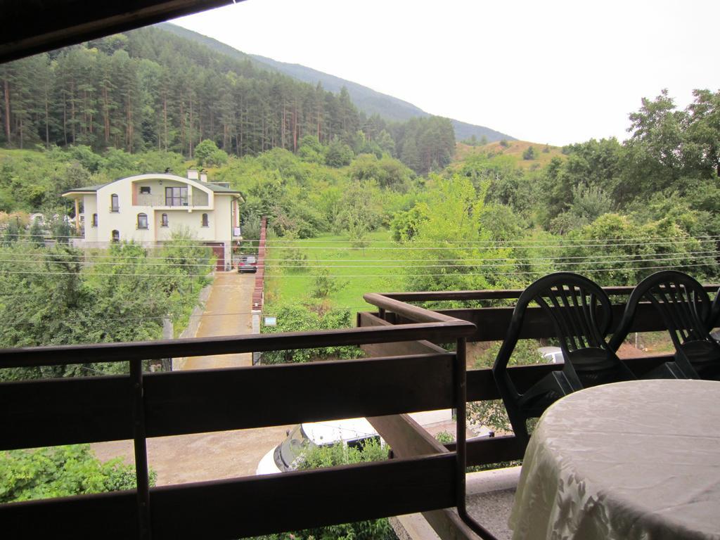 Slavina Guest House 사파레바바냐 외부 사진