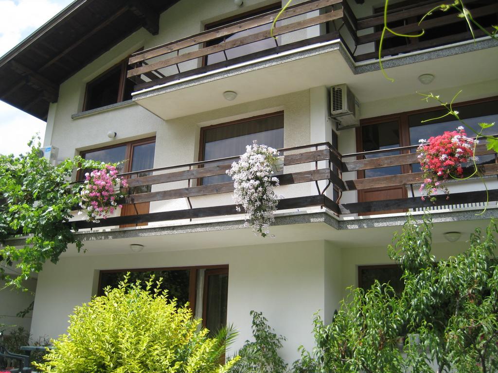 Slavina Guest House 사파레바바냐 외부 사진