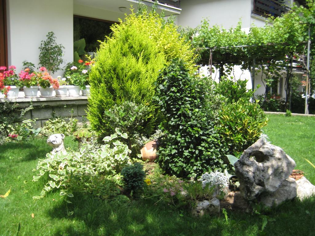 Slavina Guest House 사파레바바냐 외부 사진