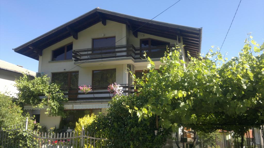 Slavina Guest House 사파레바바냐 외부 사진
